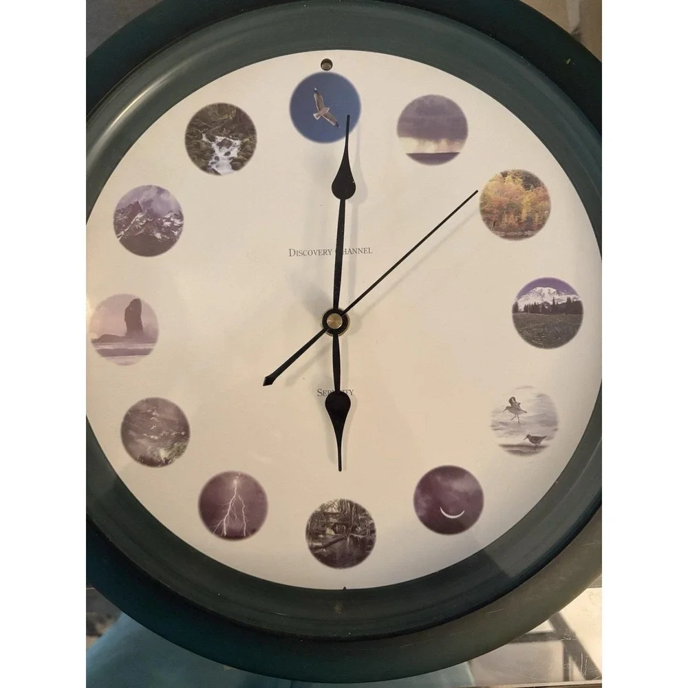 Vintage Discovery Channel Serenity Nature Sounds Wall Clock Tested Works Green